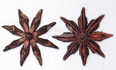 �˽�����ˎ�ĈDƬ