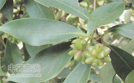 �˽�����������(sh��)�DƬ