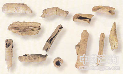 三葉木通(巴戟天混淆品)