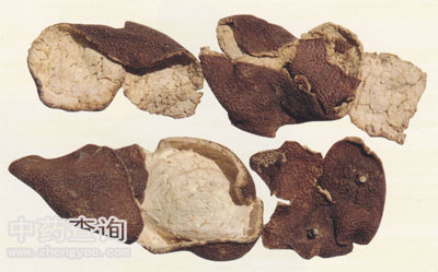 陳皮藥材(有儲存年數(shù)的陳舊干燥果皮)