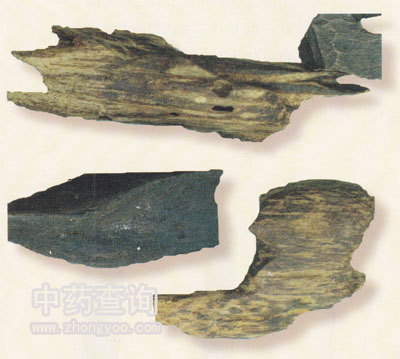 進(jìn)口沉香藥材