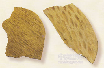 白木香不合樹脂的木材加工偽制(劣品)