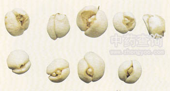 ��ؐĸ(��ؐ)ˎ��