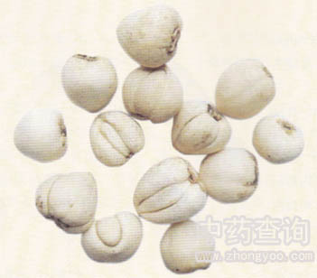 ��ؐĸˎ��(ˎ���Ј���ͨ����Ʒ)