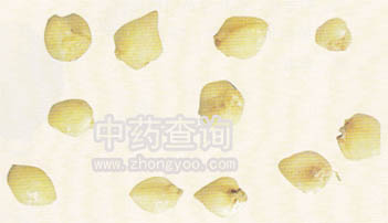 һ݆ؐĸ(��ؐĸ����Ʒ)