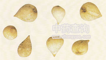 ��ȹ�(��ؐĸ����Ʒ)