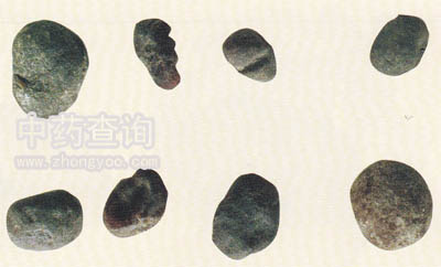 ��ؐĸ(��ؐĸ����Ʒ)