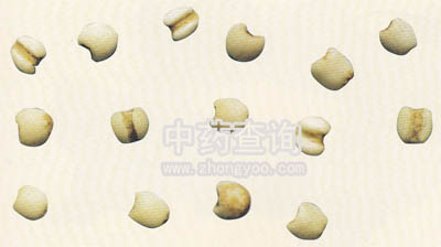 ޲����(��ؐĸ����Ʒ)