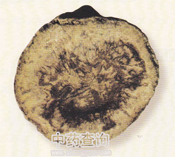 ���~���Sˎ��(�K��ˎ�����M����D)