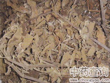 �V޽��ˎ��