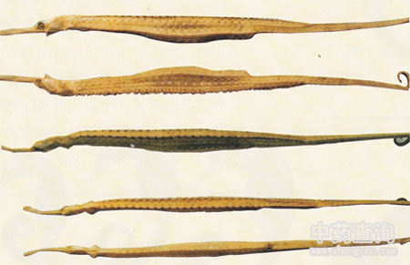 ����ˎ��