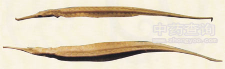 �M����ˎ��