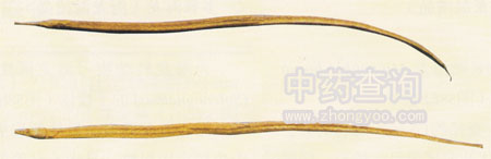 �⺣��ˎ��