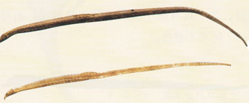 ���Ǻ���(��������Ʒ)