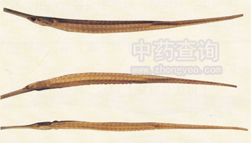 �L�Ǻ���(��������Ʒ)