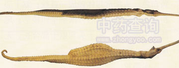 �༬����(��������Ʒ)