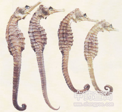 �̺��Rˎ��