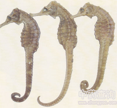 �̺��Rˎ��