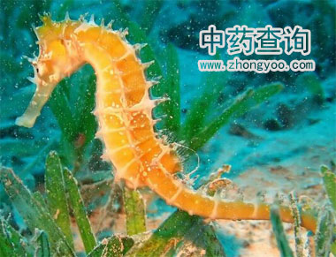 ���R��(d��ng)����w