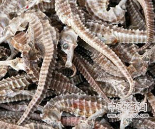 �Ј�(ch��ng)��ͨ�ĺ��R�Ƭ