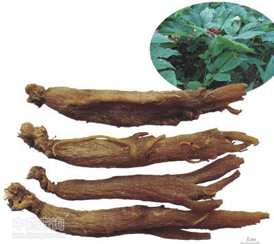 �t��ˎ�ĈDƬ