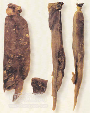 �t��ˎ�ĈDƬ