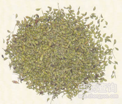 槐花藥材(槐米)