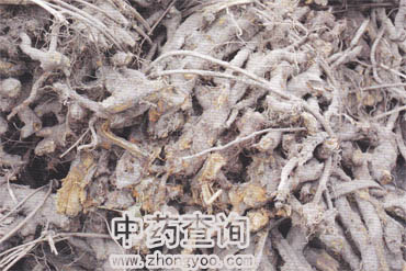 ����ˎ��(ԭˎ��)