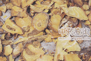 ����ˎ���Ƭ