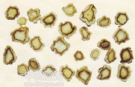 桔梗藥材飲片(橫切片)