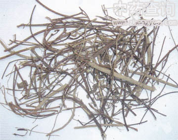 雞骨草藥材飲片