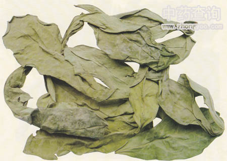 ��Ú�~ˎ��