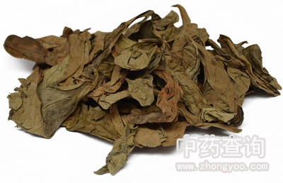 �Ј���ͨ����Ú�~ˎ�ĈDƬ