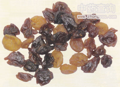 ������ˎ��(���Ʒ)