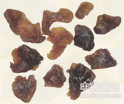 ������ˎ��(�鄃?n��i)��������?