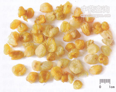 δ���Ƶ�������ˎ��