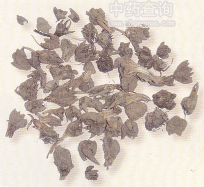 貓爪草藥材(野生品)