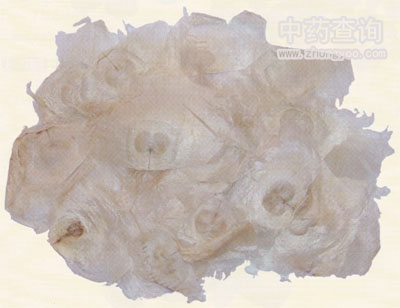 ľ����ˎ��