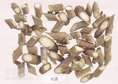 木通飲片