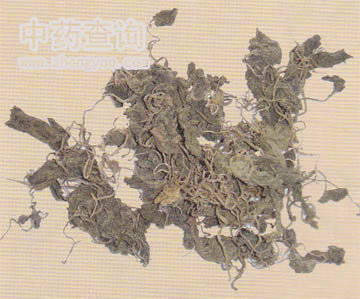 �����ˎ��(С�~�������ˎ���Ј���ͨ����Ʒ)