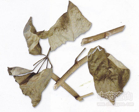 ���~ɏ�Ј�(ch��ng)��ͨ�Ƭ�DƬ