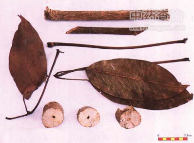 ���~ɏˎ�Č�(sh��)�ĈDƬ