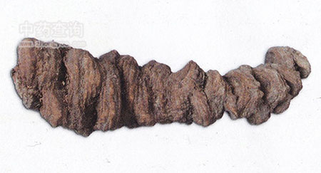 ���~һ֦��ˎ��