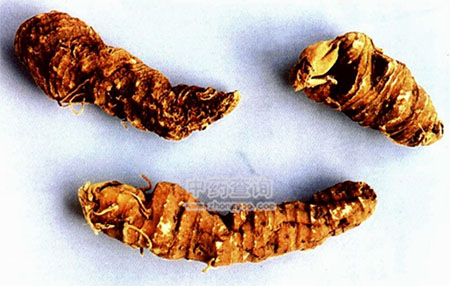 ���~һ֦��ˎ�Č�(sh��)�ĈD