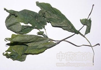 市場(chǎng)流通的人參葉藥材