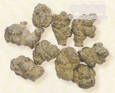 三七藥材圖(加工品)