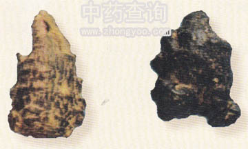 莪術(shù)藥材根莖(三七混淆品)