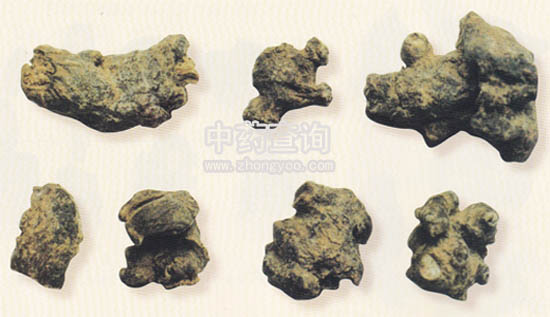 植物的根莖(三七混淆品)