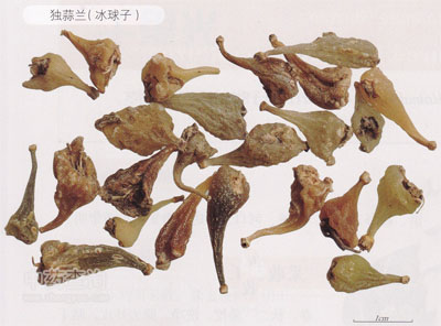 ������ˎ��(�����m)