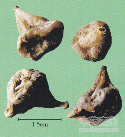 ������ˎ��(�����m)